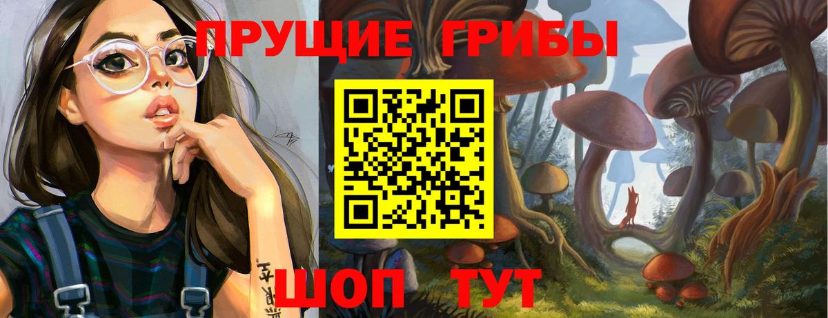 Псилоцибиновые грибы мицелий Камышлов